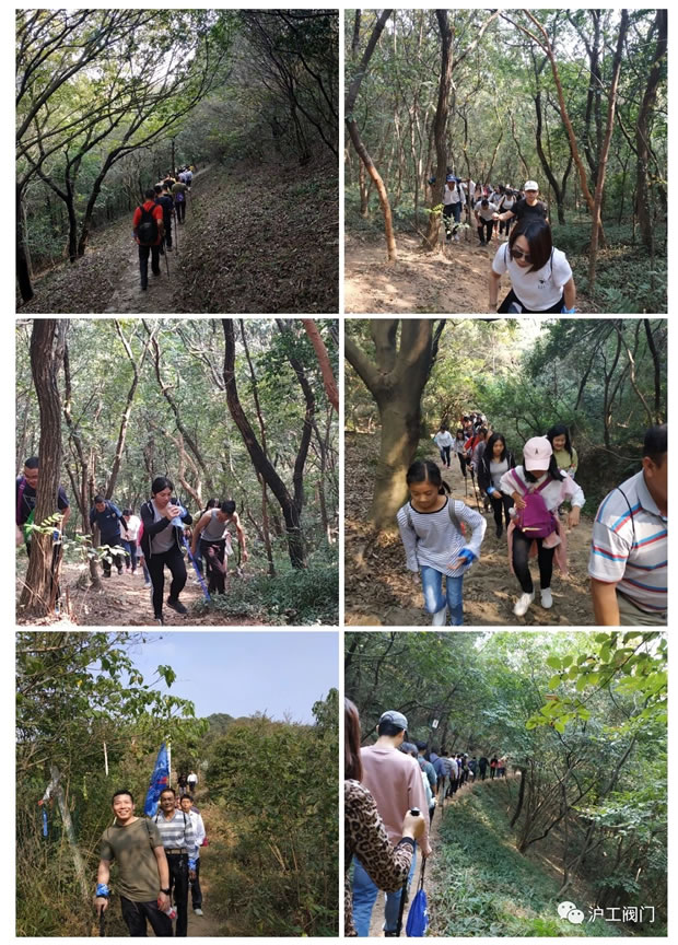 Ϻʱǲų2019＾ͽлͼ4