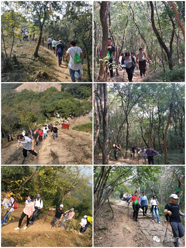 Ϻʱǲų2019＾ͽлͼ6