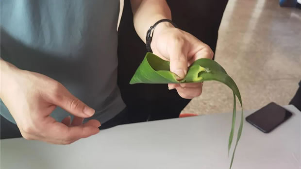 2021Ϻʱǲųڰӻͼ2